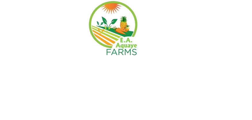 Community Poultry Project