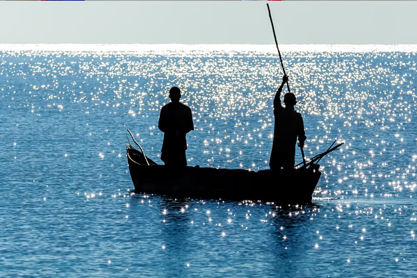 🌿 Agro-Consulting & Advisory Services