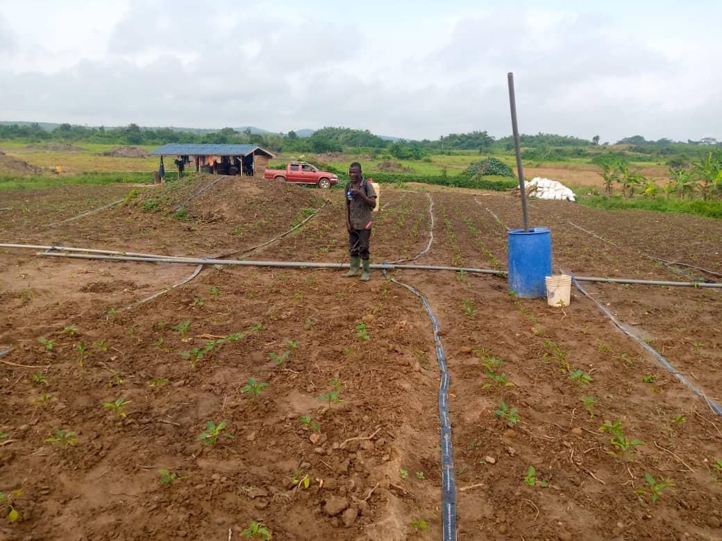 🔍 Agro-processing & Value Addition